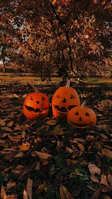 Download Jack O Lanterns Aesthetic Autumn Halloween Wallpaper ...