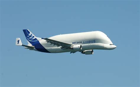 9 Airbus Beluga HD Wallpapers | Background Images - Wallpaper Abyss