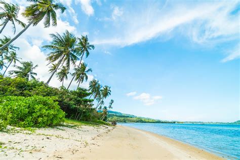 Beach on a beautiful paradise island 2030131 Stock Photo at Vecteezy