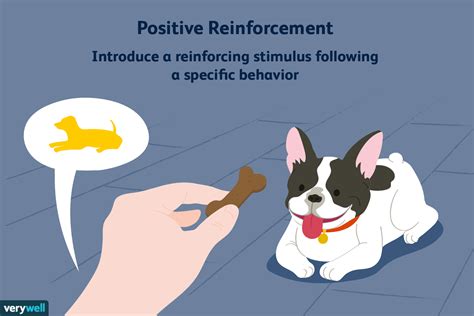 Positive Reinforcement and Operant Conditioning