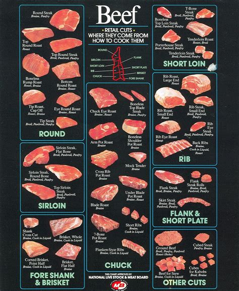 Diagram Of Beef Cuts Of Meat Parts Of Beef Cattle Diagram