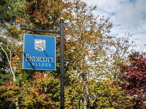 Strong Placement in Best Colleges Rankings | Endicott College