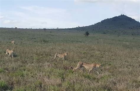 Taita Hills Wildlife Sanctuary (Taveta) - 2020 All You Need to Know ...