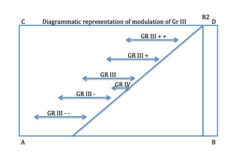 Movement Diagrams — Rayner & Smale