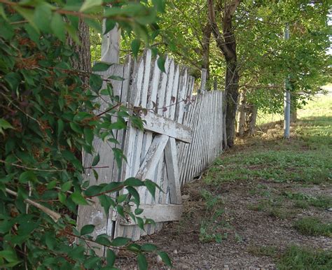 Free old broken fence Stock Photo - FreeImages.com