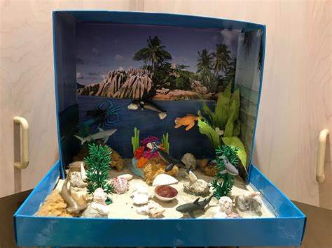 Ocean habitat project | Habitats projects, Ecosystems projects, Ocean ...