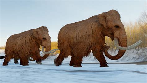 Woolly Mammoth | Britannica