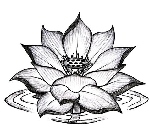 Black Ink Lotus Flower Tattoo Sample | Tattoobite.com | Lotus flower ...