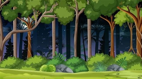 Free Vector | Forest landscape scene at night with many trees