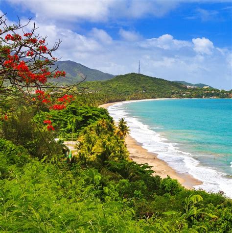 September Weather in Puerto Rico: Your Ultimate Guide - PlantHD