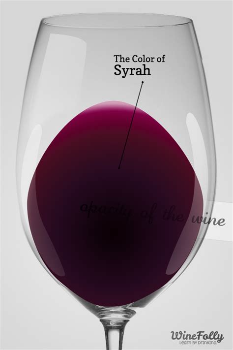 The Secrets to Syrah Wine | Wine Folly