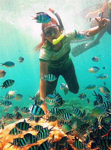 Snorkeling at Karimunjawa Islands | Indonesia