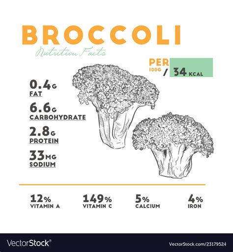 Nutrition facts of broccoli Royalty Free Vector Image