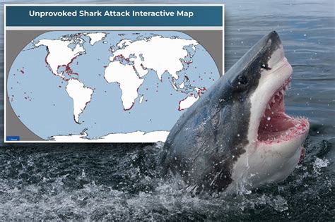 Where you're most likely to experience a shark attack: map