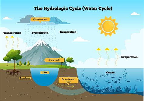 Define Water Cycle