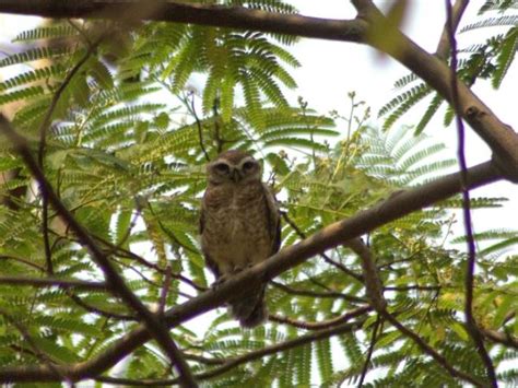 Bangladesh wildlife holiday | Responsible Travel