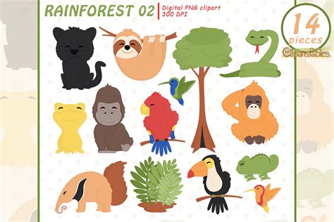 Cute RAINFOREST ANIMALS clipart, Wild animals clip art, Jungle By ...