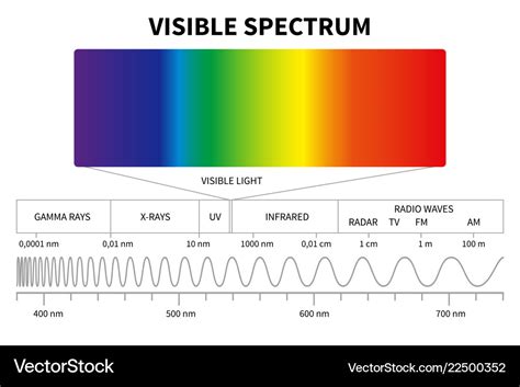 Visible light diagram color electromagnetic Vector Image