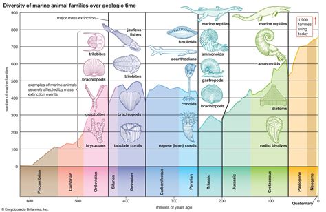 Triassic Period - Permian Extinction, Climate Change, Fossils | Britannica