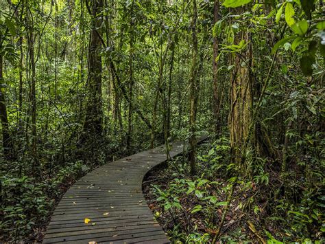 Gunung Mulu National Park | Mustseespots.com