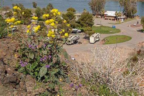 RV Camping in Parker, AZ | Arizona State Parks