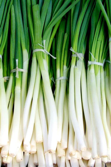 Scallions vs Green Onions: What’s the Difference? | Chef Tariq