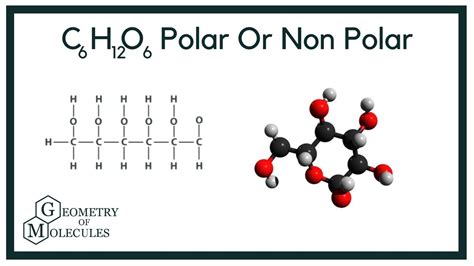 Is Glucose Polar or Nonpolar (C6H12O6) - YouTube