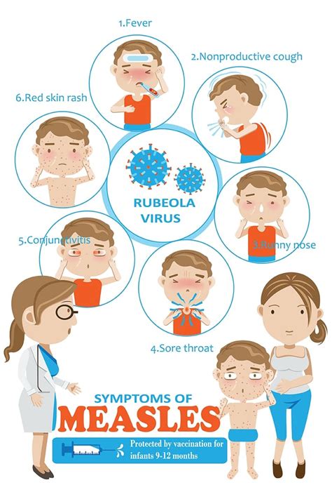 Measles, Mumps, Rubella (MMR) Titers, Antibody Immunity – Test Smartly Labs