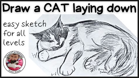 How to Draw a Cat Laying Down, side view black & white, simple sketch ...