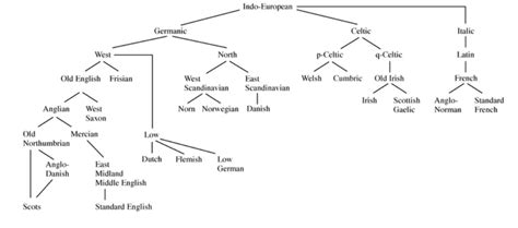 Indo-European language family tree illustrating the Germanic, Celtic ...