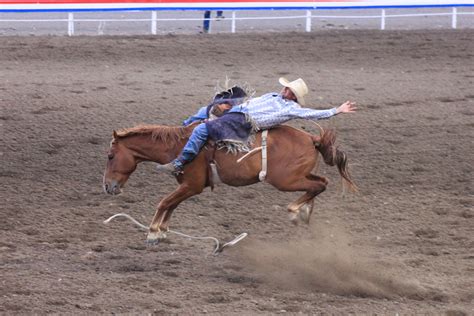 save a horse, ride a cowboy :) | Canadian vacation, Rodeo, Wyoming