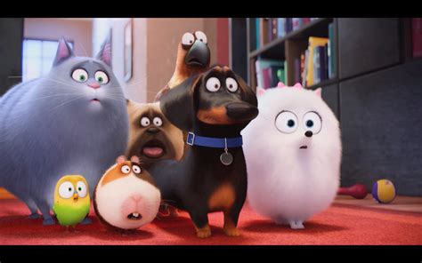 The Secret Life Of Pets Official Trailer #3