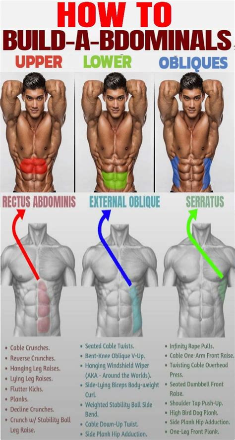 Exercises To Build Ab Muscle