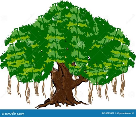 Banyan Tree Vector Illustration With Roots | CartoonDealer.com #167015262