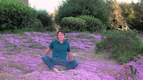 Creeping Thyme Groundcover - YouTube