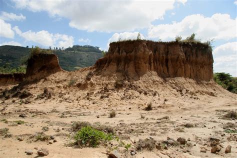 In Ethiopia, more than 15,000 farmers are being supported by an ...