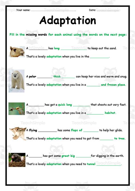 Adaptation Fill in the Blank Worksheet by Teach Simple