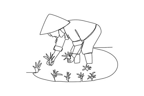 Premium Vector | Man planting rice drawing by simple continuous line ...