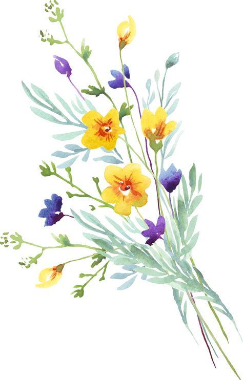 Wildflower bouquet. Watercolor clipart 22316337 PNG