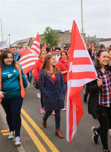 Glamorgan Heraldry, Merlin, Nativity, Arms, Banner, Flag, Banner Stands ...