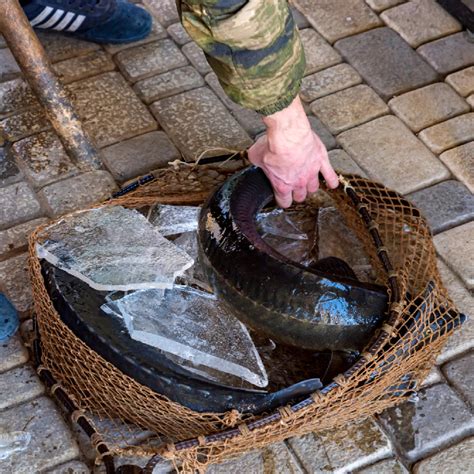 Winter White Sturgeon Fishing Tips: Catch the Big One This Season