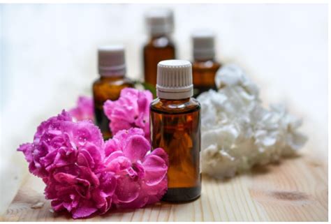 Exploring the Health Benefits of Top Herbal Oils - Mom Blog Society