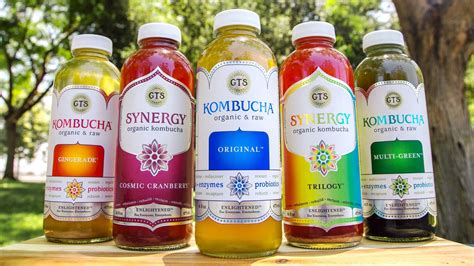 Kombucha Tea Brands