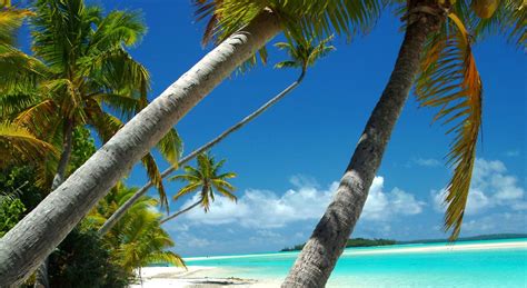 Cheap Flights to Rarotonga, Cook Islands $460.60 in 2017 | Expedia