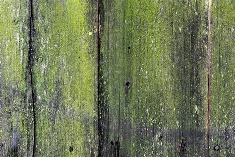 Premium Photo | Texture of a weathered wood wall