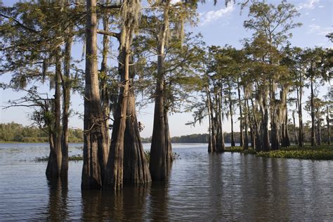 Atchafalaya Basin — Atchafalaya National Heritage Area