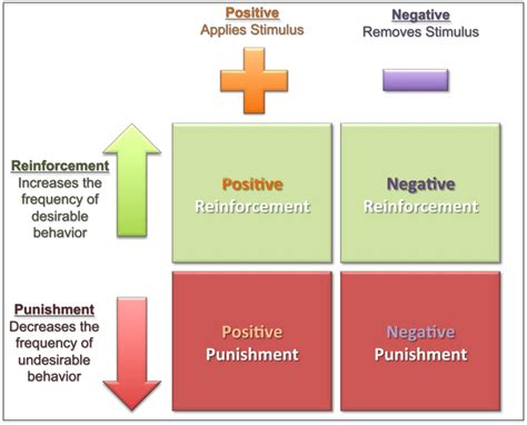 Solved Positive Applies Stimulus Negative Removes Stimulus | Chegg.com