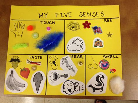 five sense worksheet: NEW 904 FIVE SENSES PRESCHOOL ACTIVITIES PINTEREST