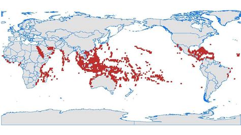 Scientists are using a cool new technology to map coral and figure out ...