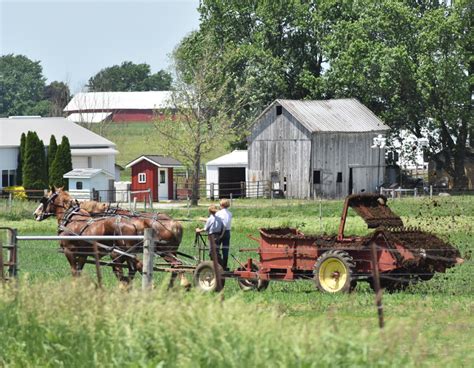 Are The Amish Rich? - Amish America